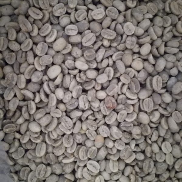 Café de Especialidad verde (Oro)